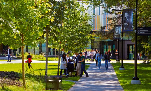university of toronto