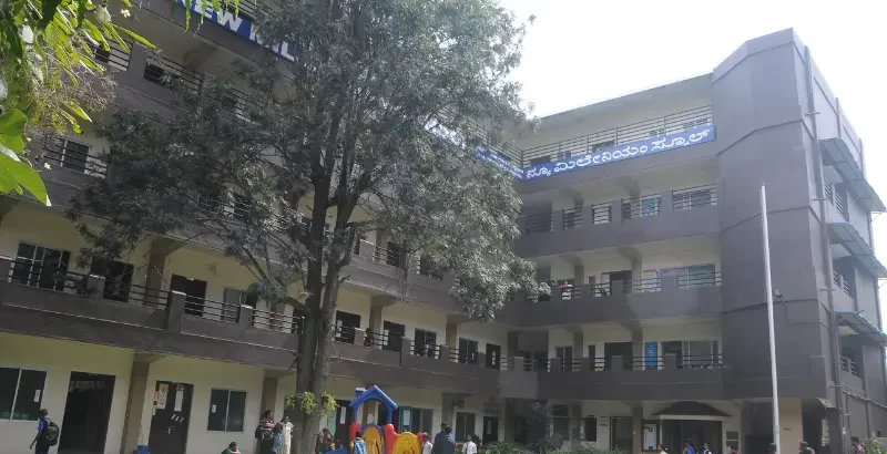 New Millennium School