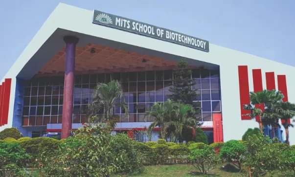 building image of mits