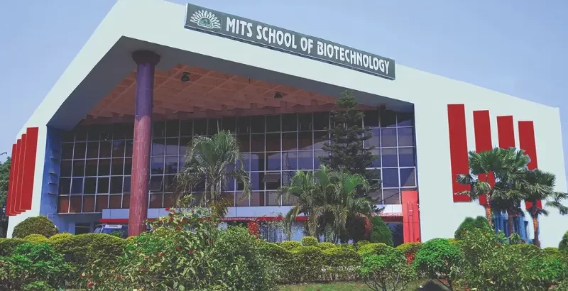 building image of mits