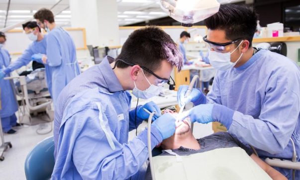 image of The Role of Research in Advancing Dental Education