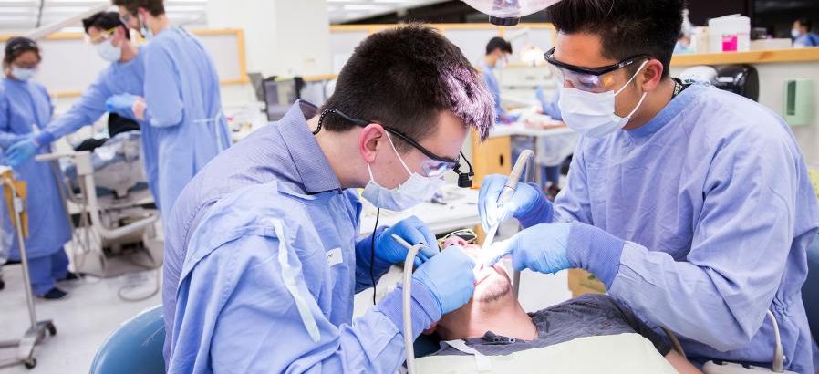 image of The Role of Research in Advancing Dental Education
