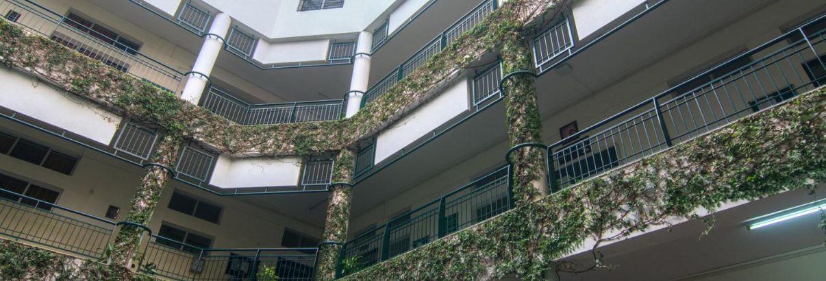 RV Institute of Management