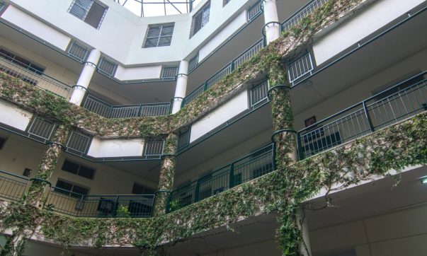 RV Institute of Management